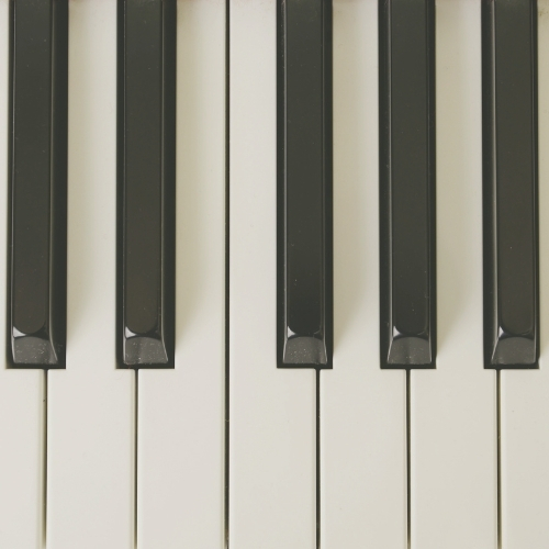 Download Music Tracks